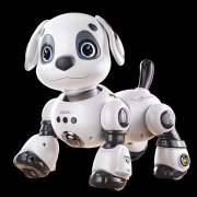 家长都能在陪伴中加深与孩子的情感联系