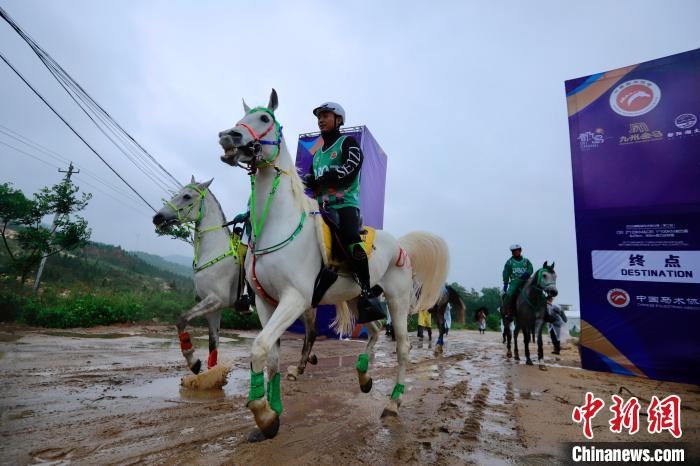 以马为媒打造都昌县文旅经济新增长极：鄱阳湖