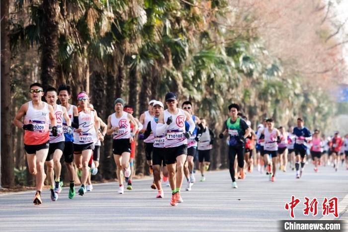 近4000跑者齐聚海湾 共迎2024新年马拉松